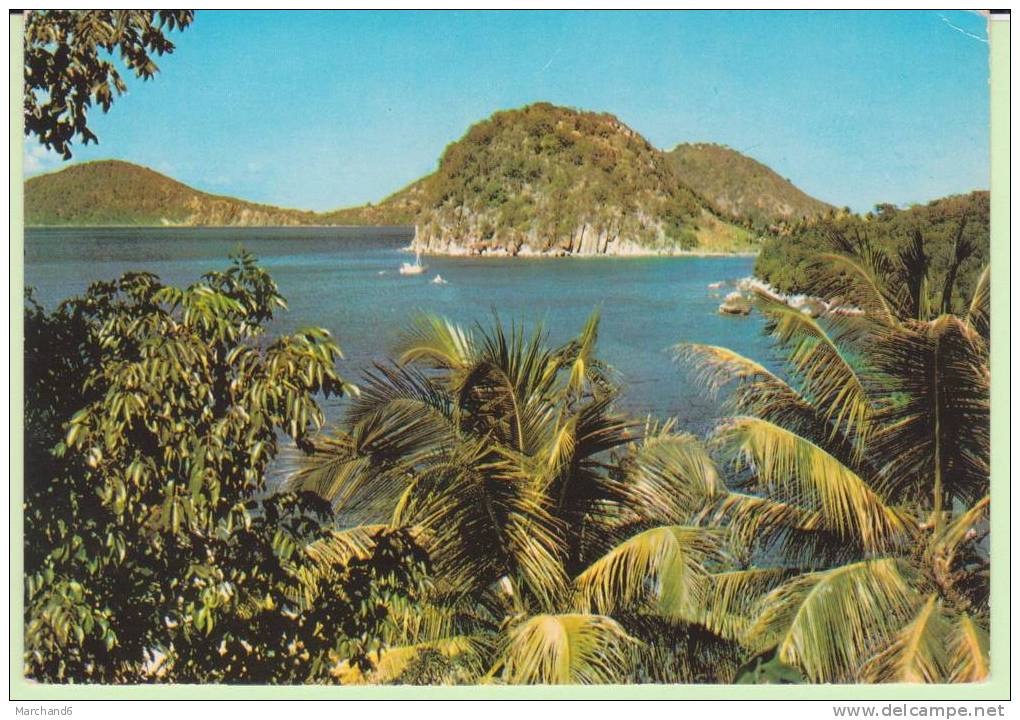 DOM.GUADELOUPE.AUX SAINTES - Saint Barthelemy