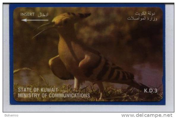 Kuwait Pajaro - Koeweit