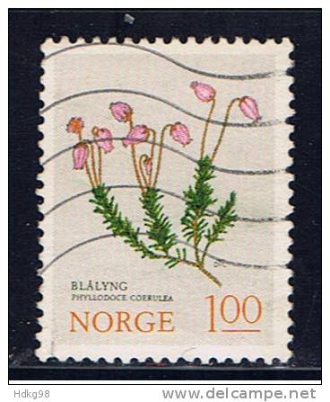 N Norwegen 1973 Mi 673 Pflanze - Used Stamps