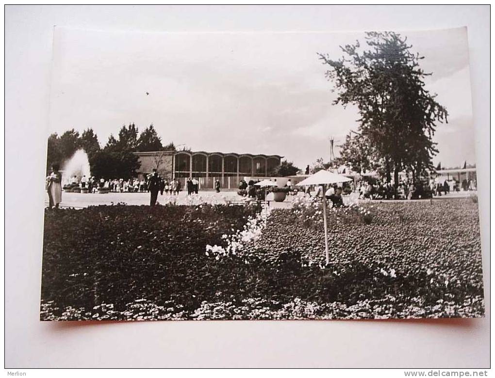 Erfurt - Internationale Gartenbauausstellung Der DDR  - CPSM Cca 1960's  D45902 - Erfurt