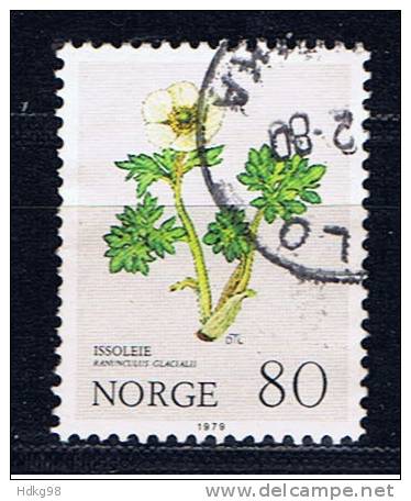 N Norwegen 1979 Mi 806 Blume - Oblitérés