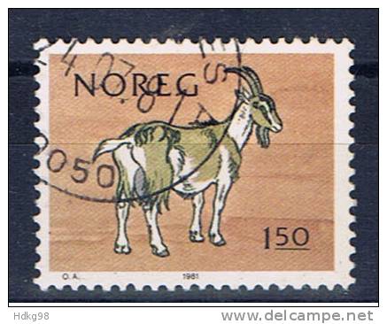 N Norwegen 1981 Mi 835 Ziege - Used Stamps