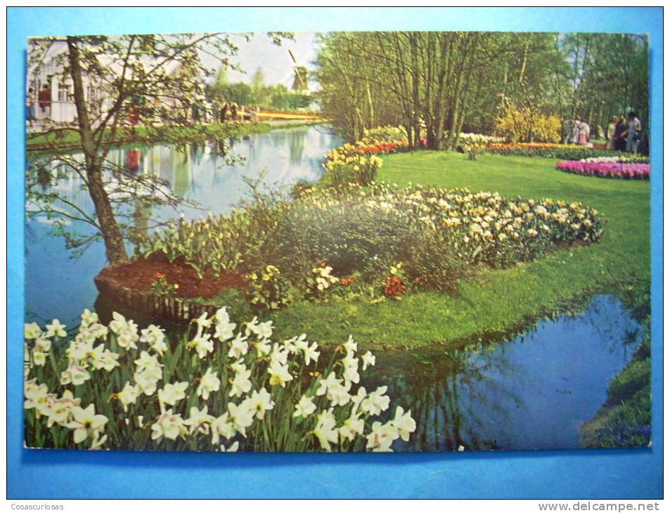 R.2600 HOLANDA NEDERLAND ZUID HOLLAND LISSE KEUKENHOF ANNEES 70/80 MAS EN MI TIENDA - Lisse