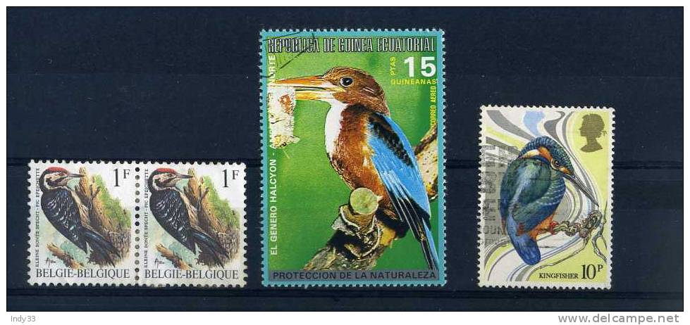 - ENSEMBLE DE TIMBRES SUR LES PICS ET GRIMPEURS  . PAYS DIVERS - Piciformes (pájaros Carpinteros)