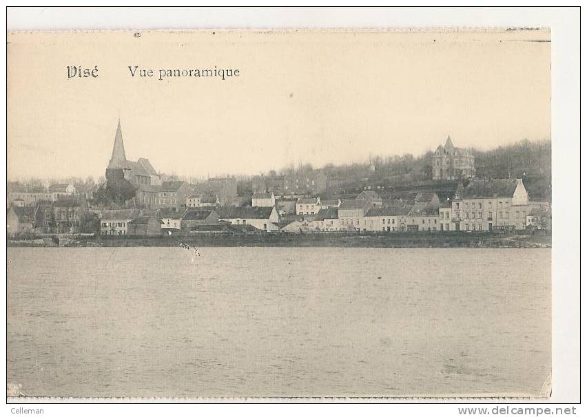 Vise Vue Panoranique (b045) - Visé