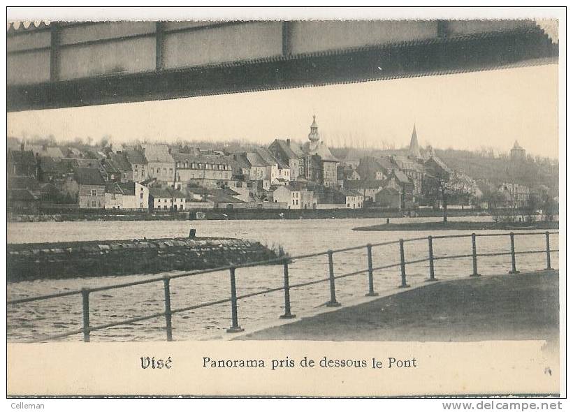 Vise Panorama Pris De Dessous Le Pont (b046) - Wezet