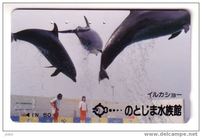 DOLPHIN ( Japan ) *** Dauphin - Delphin - Delfin – Delphine - Dauphine – Delfino– Dauphins - Dolphins ( Japon ) - Delfines
