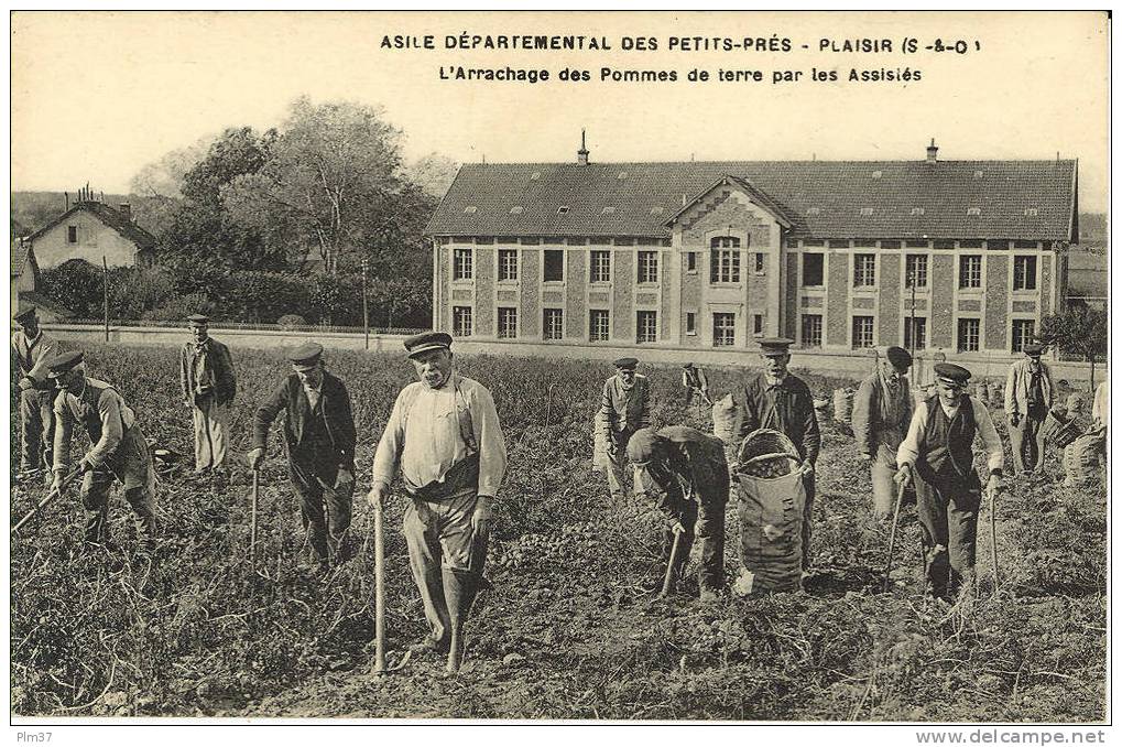 PLAISIR - Asile Des Petits Prés - Arrachage Des Pommes De Terre - Non Circulé - Plaisir