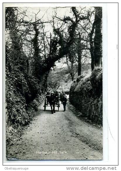 HARBOUR HILL ATTELAGE CARRIAGE  ANIMATION SM NETB 195..N° K 1101 - Sark