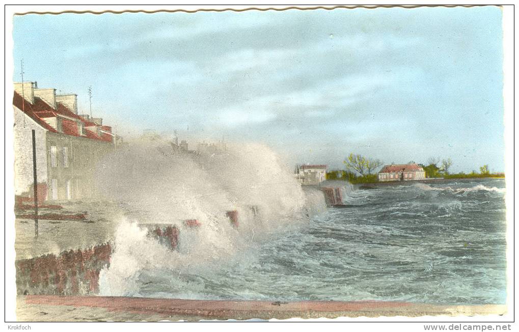 Saint Vaast 50 - Vue Des Quais - Route De Réville - Saint Vaast La Hougue