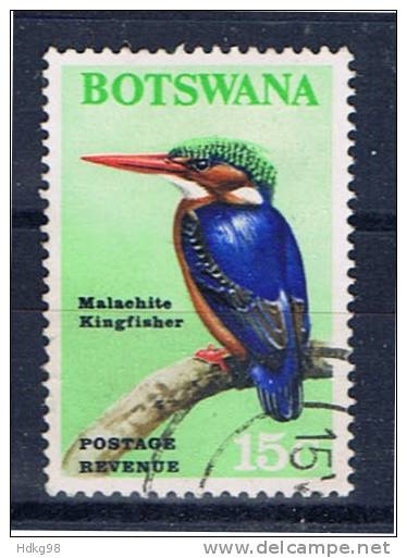 RB+ Botswana 1967 Mi 26 Zwerghaubenfischer - Botswana (1966-...)