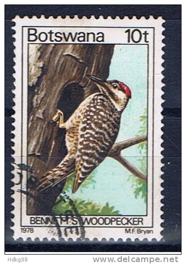 RB+ Botswana 1978 Mi 204 Bennettspecht - Botswana (1966-...)