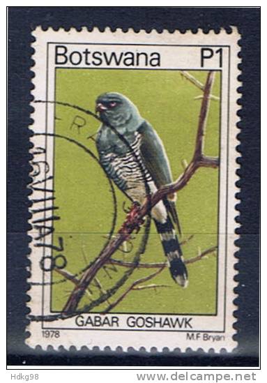 RB+ Botswana 1978 Mi 212 Gabarhabicht - Botswana (1966-...)