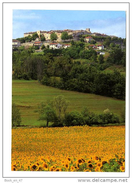 {43762} 81 Tarn Castelnau De Montmiral , Vue Générale - Castelnau De Montmirail