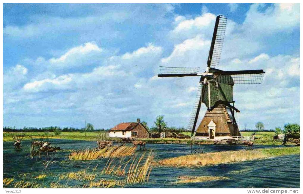 Heikop - Wipwatermolen - Hoek Van Holland