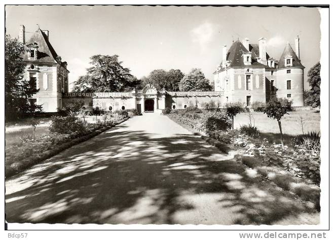 41 - LOIR Et CHER - Château De SELLES-SUR-CHER , L'accueil , Le Pavillon Béthune Et Sully - DENTELEE - Selles Sur Cher