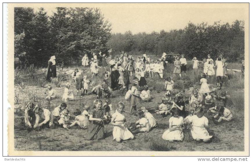 Ravels OLV Van De Kempen Open Luchtschool Kleuterslust In De Zavelkuilen Op Het Zes Hectaren Park - Ravels