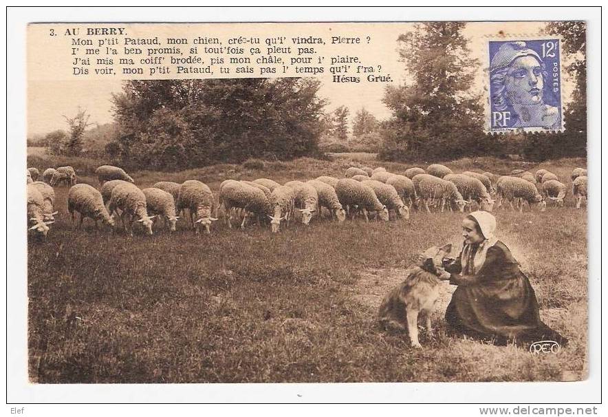 " AU BERRY "; Chanson Poème De Hésus Grué ; Bergère Avec Son Chien Et Moutons;Postée De ST-BENOIT-du-Sault, Indre,1949 - Centre-Val De Loire