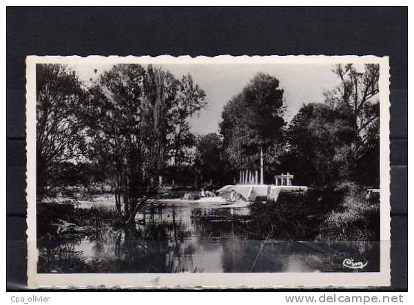 21 IS SUR TILLE Baignade, Ecluses, Barrage, Ed CIM 2, CPSM 9x14, 195? - Is Sur Tille