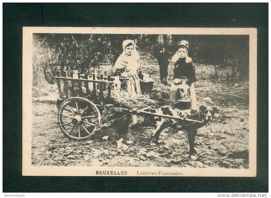 Belgique - Bruxelles - Laitières Flamandes ( Animée Laitière Attelage Chien Voyagé En 1911) - Straßenhandel Und Kleingewerbe