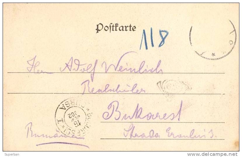CLAUSTHAL - WINDMÜHLENSTRASSE / RUE Du MOULIN À VENT - CARTE POSTALE VOYAGÉE En 1902 (b-778) - Clausthal-Zellerfeld