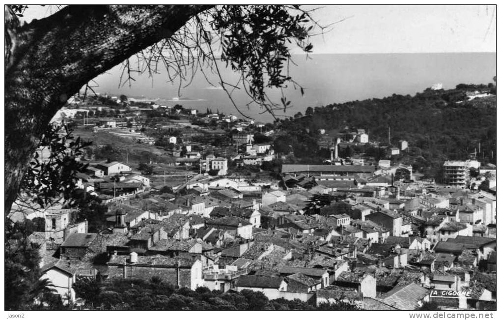 CPSM Dentelee Noir Et Blanc Vallauris ( Vue Generale) - Vallauris