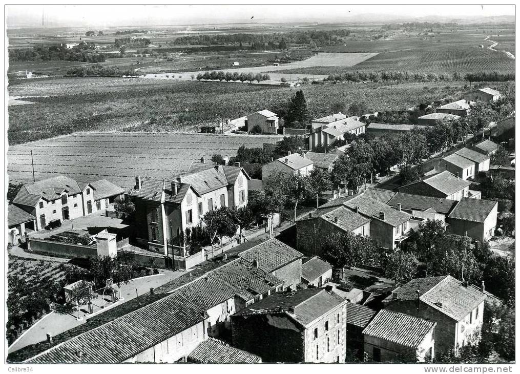 CPSM En Avion Au Dessus De CAPENDU Route Nationale (Station Service Visible) - Capendu