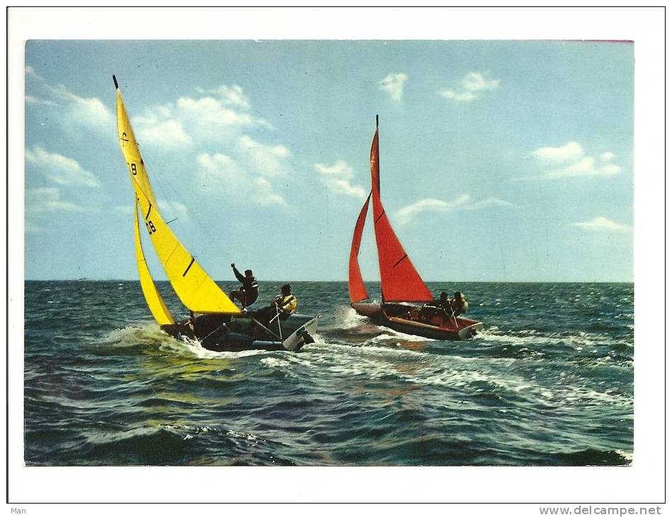 Voile: En Regates, Bateau à Voile (09-484) - Voile