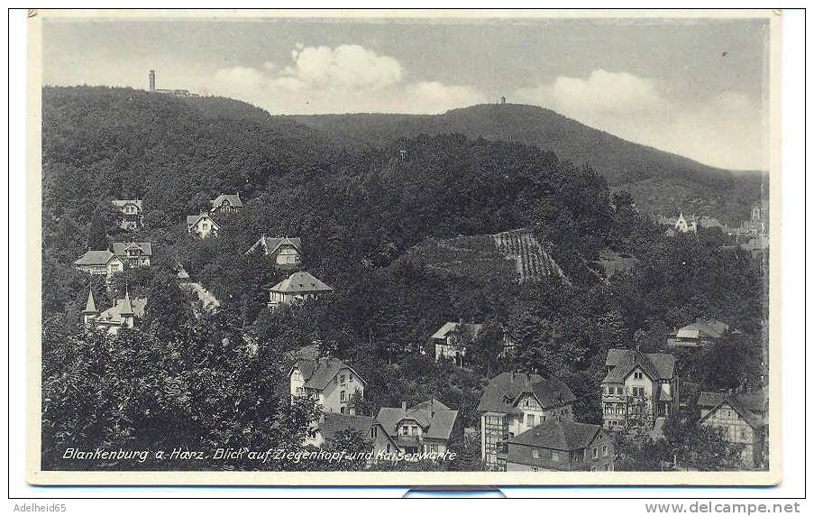 Blankenburg Am Harz, Blick Auf Ziegenkopf Und Kaiserwarte W. St B Novobrom - Bad Blankenburg