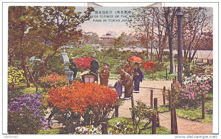 Azalea Flower Of The Hibya Park In Tokyo, Japan, Japon Ca 1910-1920 - Tokyo