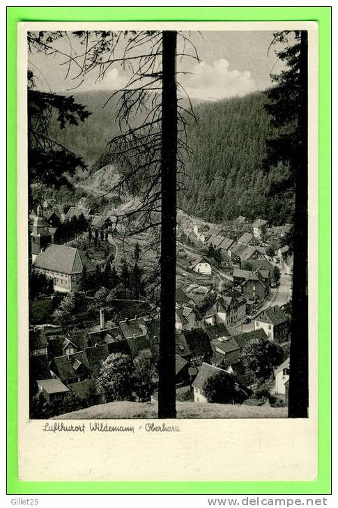 LUFTKURORT WILDEMANN-OBERHARZ - KUNSTVERLAG R. LEDERBOGEN - TRAVEL IN 1951 - - Wildemann