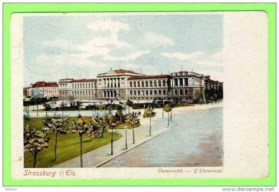 STRASSBURG I / ELS - UNIVERSITAT - UNDIVIDED BACK - TRAVEL IN 1904 - - Elsass