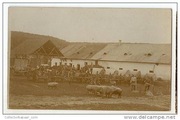 WWI Military Real Photo Hungary Or Czech Republic Fort With Pigs And Carriages W5-742 - Guerra 1914-18