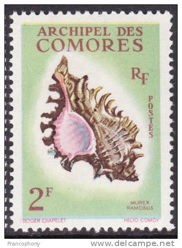 1962 / COMORES / Y&T N°21 NEUF* AVEC LEGERE TRACE DE CHARNIERE / COQUILLAGE - Autres & Non Classés