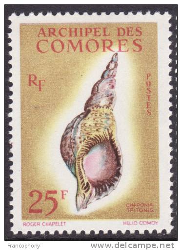 1962 / COMORES / Y&T N°24 NEUF* AVEC LEGERE TRACE DE CHARNIERE / COQUILLAGE - Autres & Non Classés