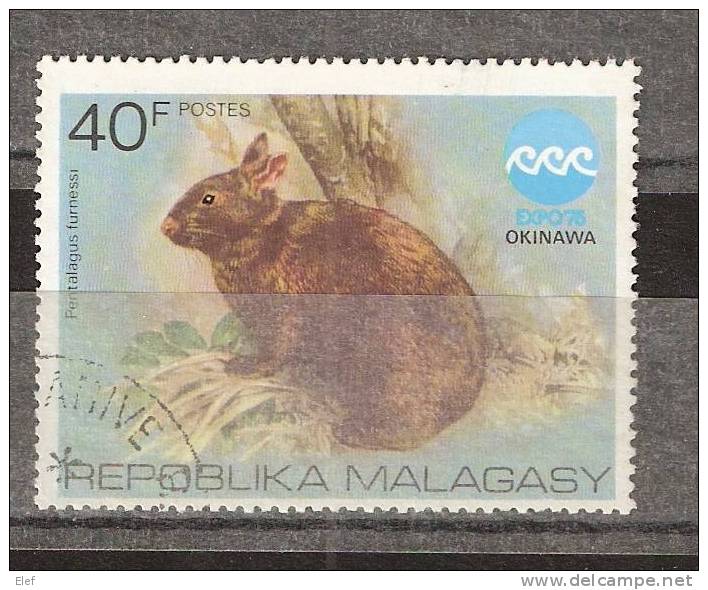 Madagascar, Repoblika Malagasy, Lapin Ou Lièvre " Pentalagus Furnessi" , 40 F , " EXPO 76 , OKINAWA" ,obl TB - Rabbits