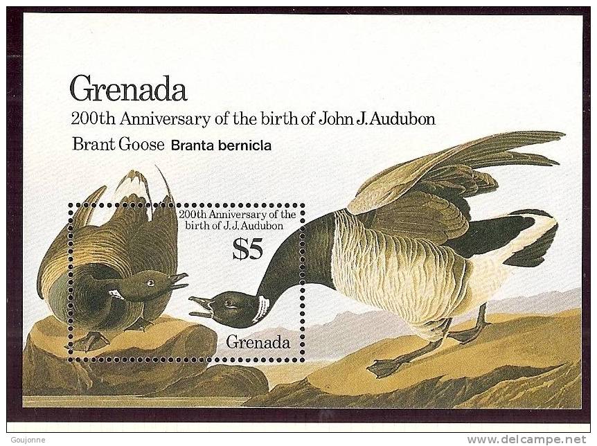 GRENADE            Oiseaux    AUDUBON            BF 143** - Ganzen