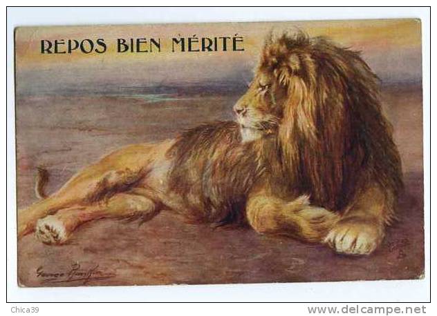 003888  -   Le Lion  Par L´illustrateur George Rankin - Lions
