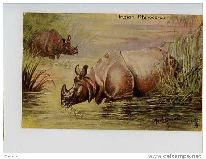 003889  -   Indian Rhinoceros  Par L´illustrateur Maude Scrivener - Rinoceronte