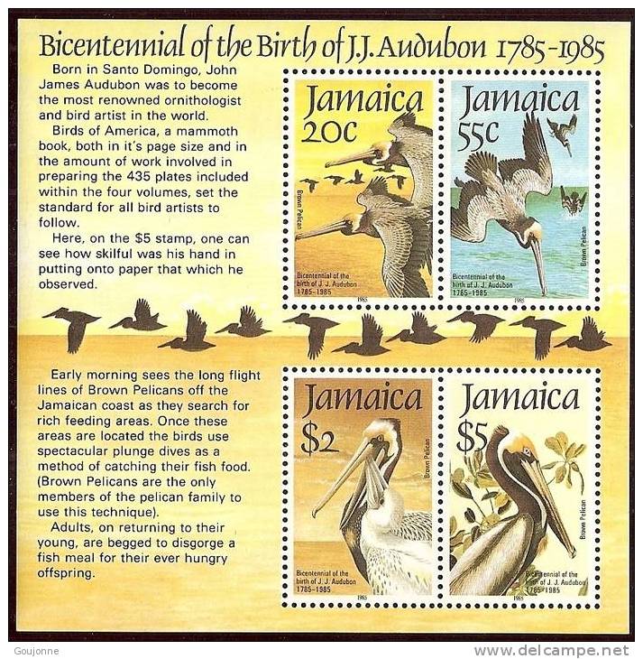 JAMAIQUE        Oiseaux    AUDUBON          BF 24** - Pelicans