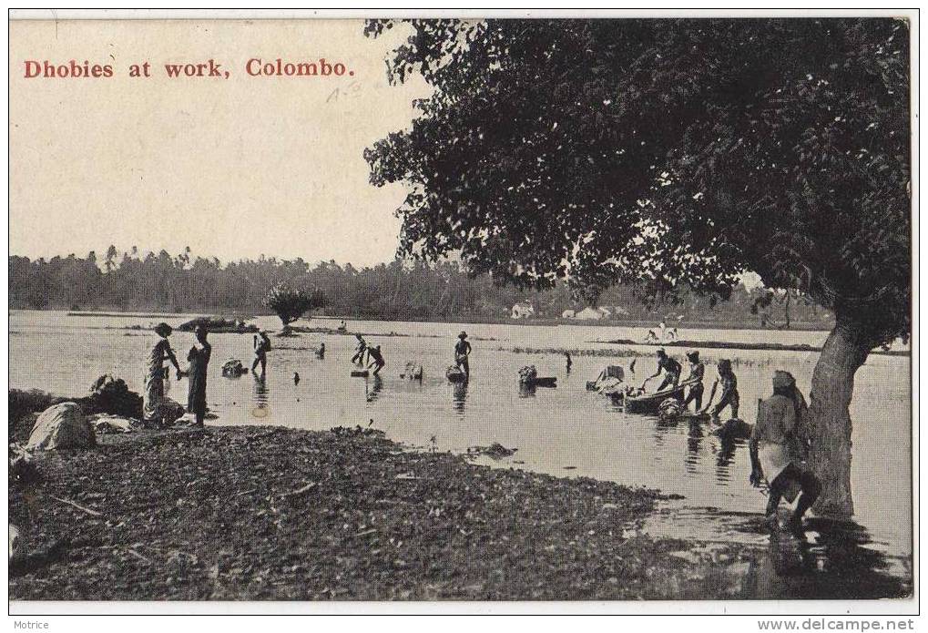 CEYLAN    -     Colombo  ,Dhobies At Work, Lavandières Au Travail. - Sri Lanka (Ceylon)