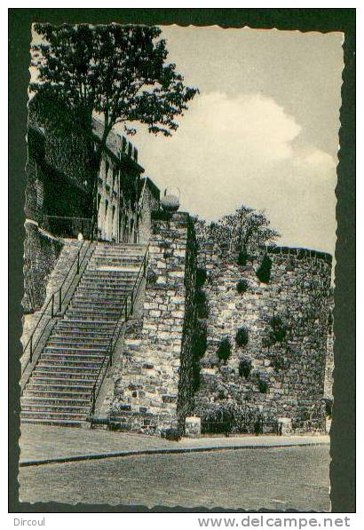 11230 -  Binche  Rempart Du  Bon Secours - Binche