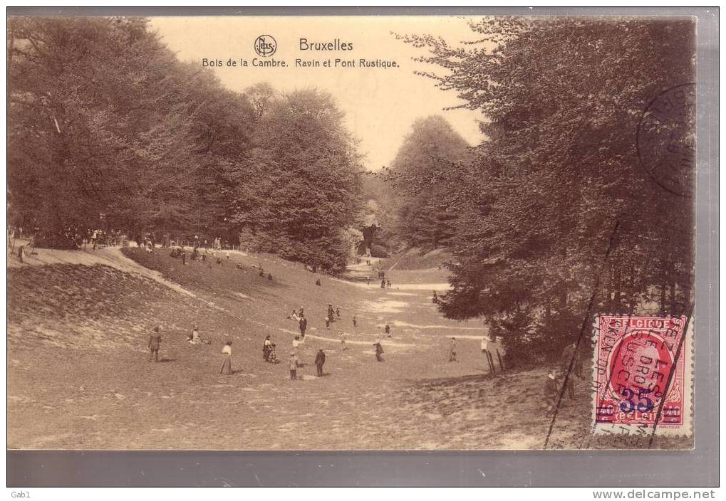 Bruxelles --- Bois De La Cambre --- Ravin Et Pont Rustique - Parks, Gärten