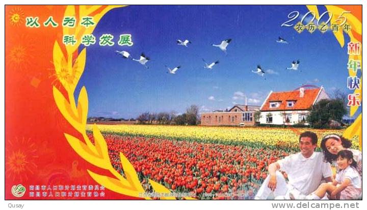 Crane Bird Tuilp  Nanchang Population And Family Planning Ad   ,   Prepaid Card , Postal Stationery - Kranichvögel