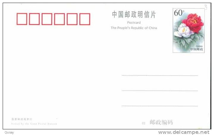 Frog Eptiles    ,   Prepaid Card , Postal Stationery - Rane