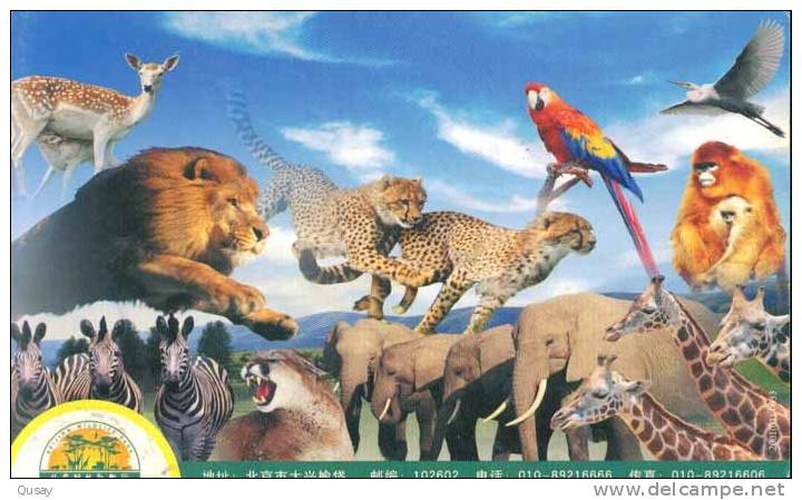 Parrot Elephant Bird Lion Monkey  Deer ,   Prepaid Card , Postal Stationery - Pappagalli & Tropicali