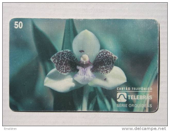 Orchids. Orchidées. Orquidea: Pabstia Jugosa - Brésil