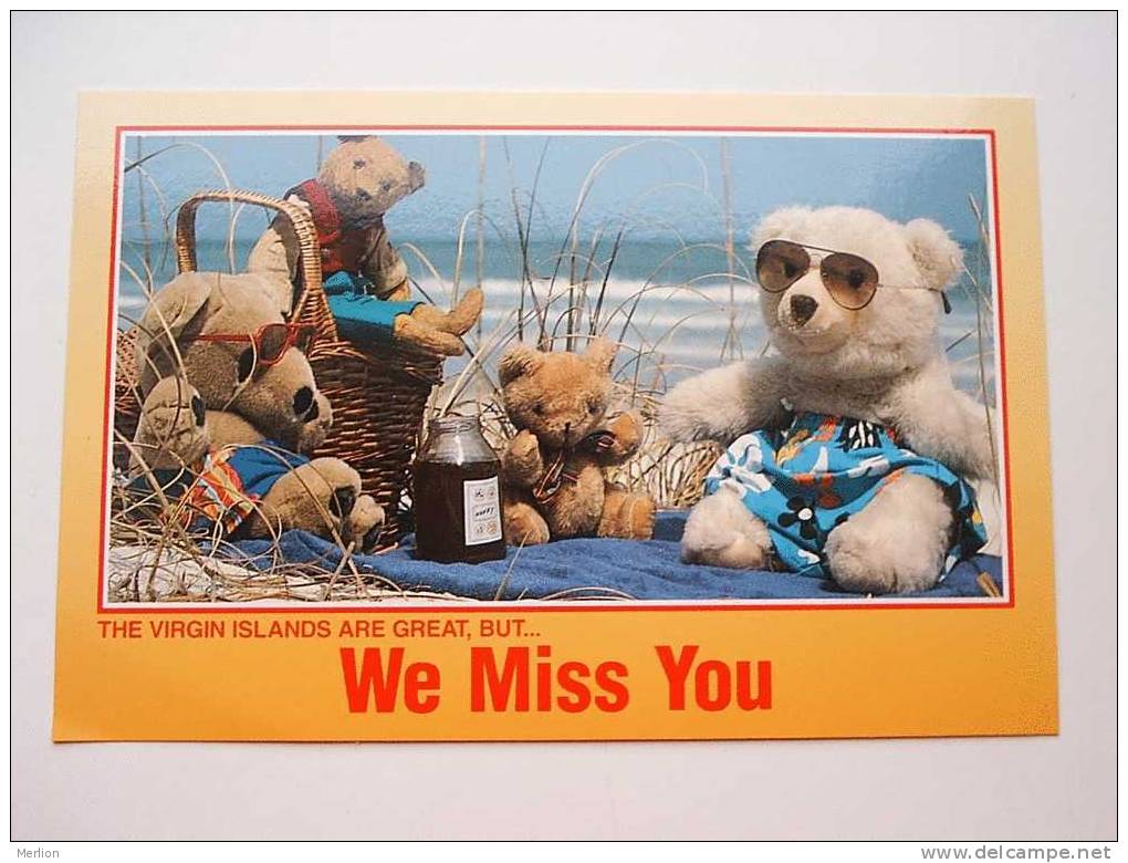 Antilles  - Virgin Islands - Teddy Bear   CPM  -  VF  D46867 - Vierges (Iles), Amér.