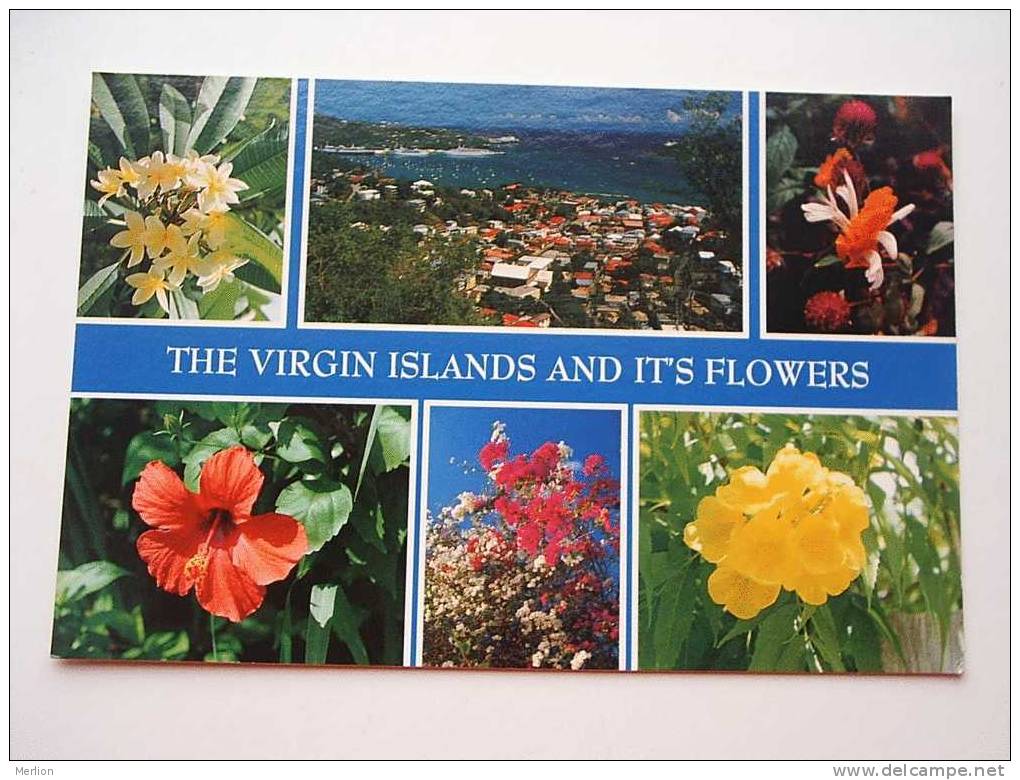 Antilles  - Vigin Islands -flowers    CPM  -  VF  D46876 - Amerikaanse Maagdeneilanden