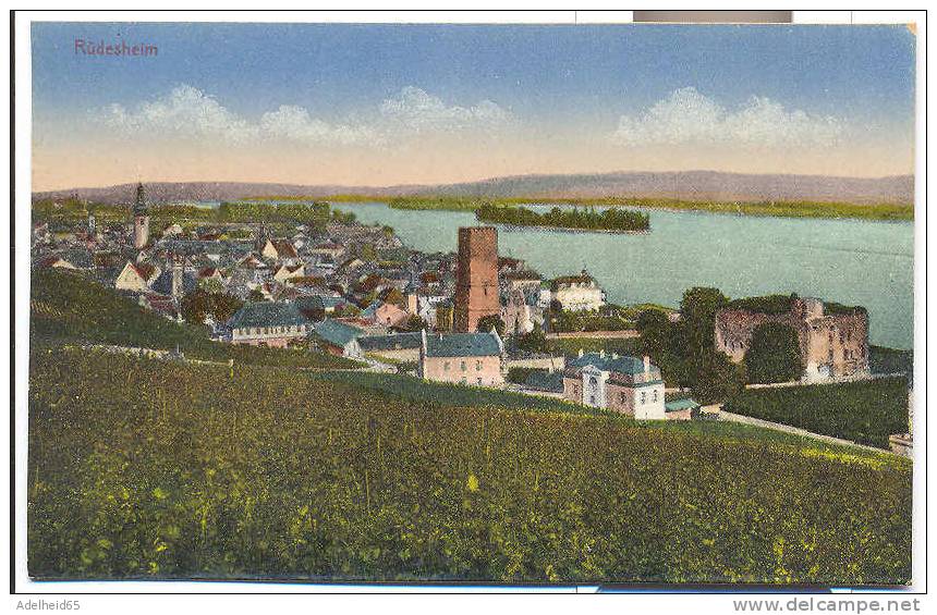 Rüdesheim (Totalansicht, Panorama) Ca 1910 Stengel - Rheingau